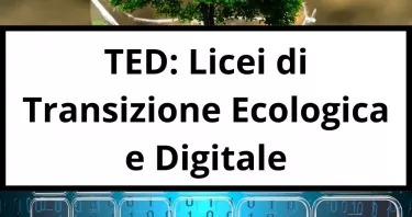 Cosa sono i Licei TED e come funzionano: dalla transizione ecologica al coinvolgimento delle imprese