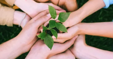 Cosa posso insegnare con la mia laurea in scienze agrarie?