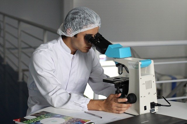 Insegnare Con Laurea In Giurisprudenza Vecchio Ordinamento
